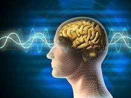 SCIENCE BEHIND BRAINWAVES