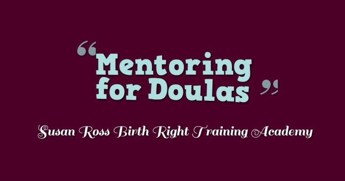Doula Mentoring Program 4 Sessions/Year Annual Payment