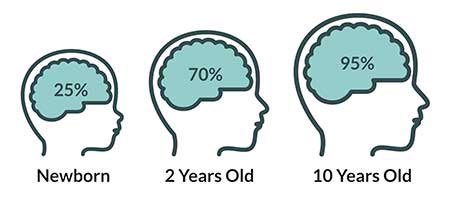 Child brain development